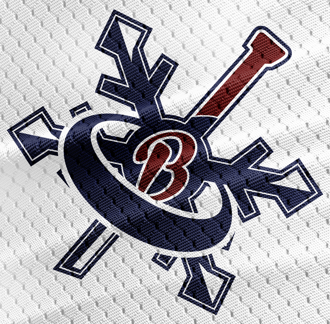 Barrie Blizzard Ringette
